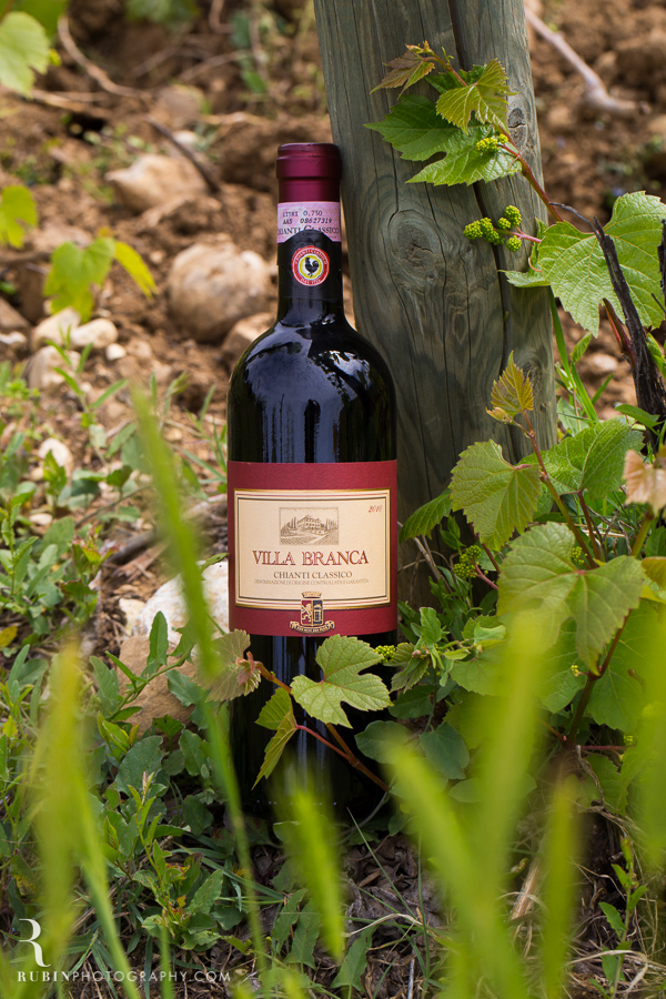 Tuscany Italy Wine and Vineyard Photography at Villa Branca by Rubin Photography023